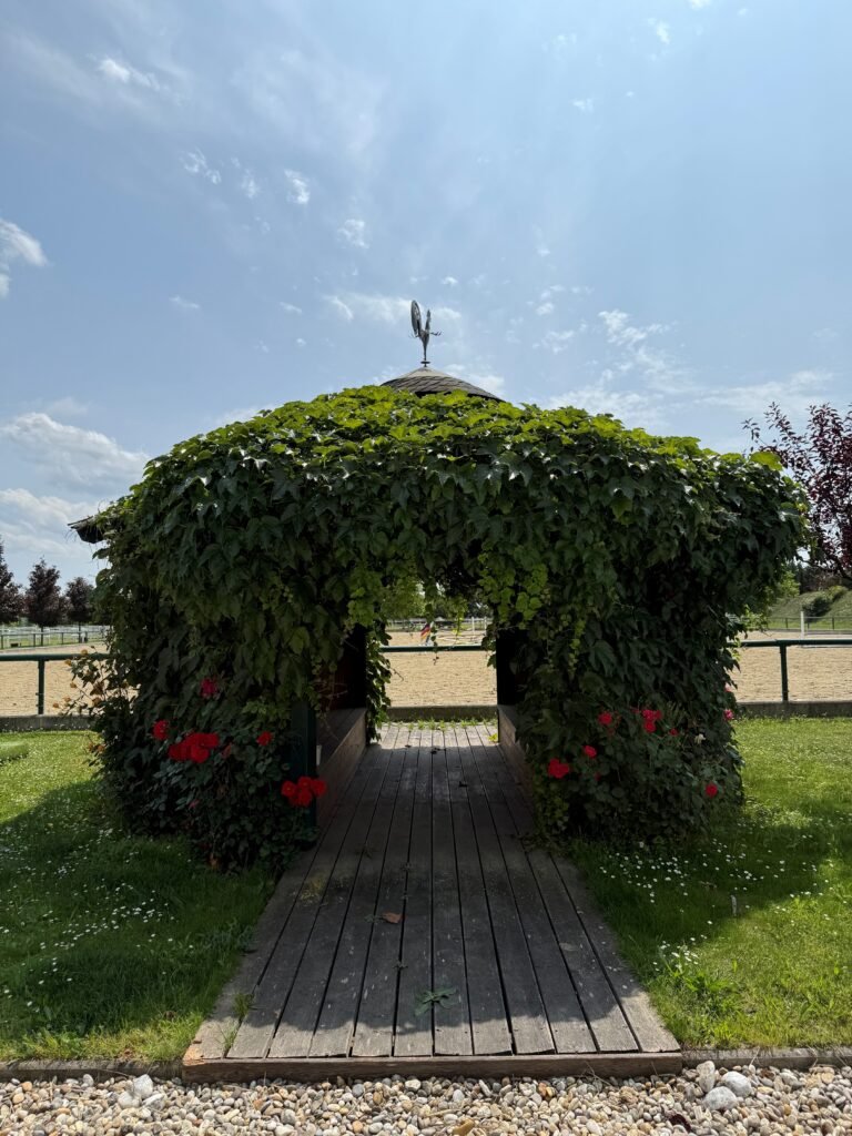 Foto Pavillion 768x1024